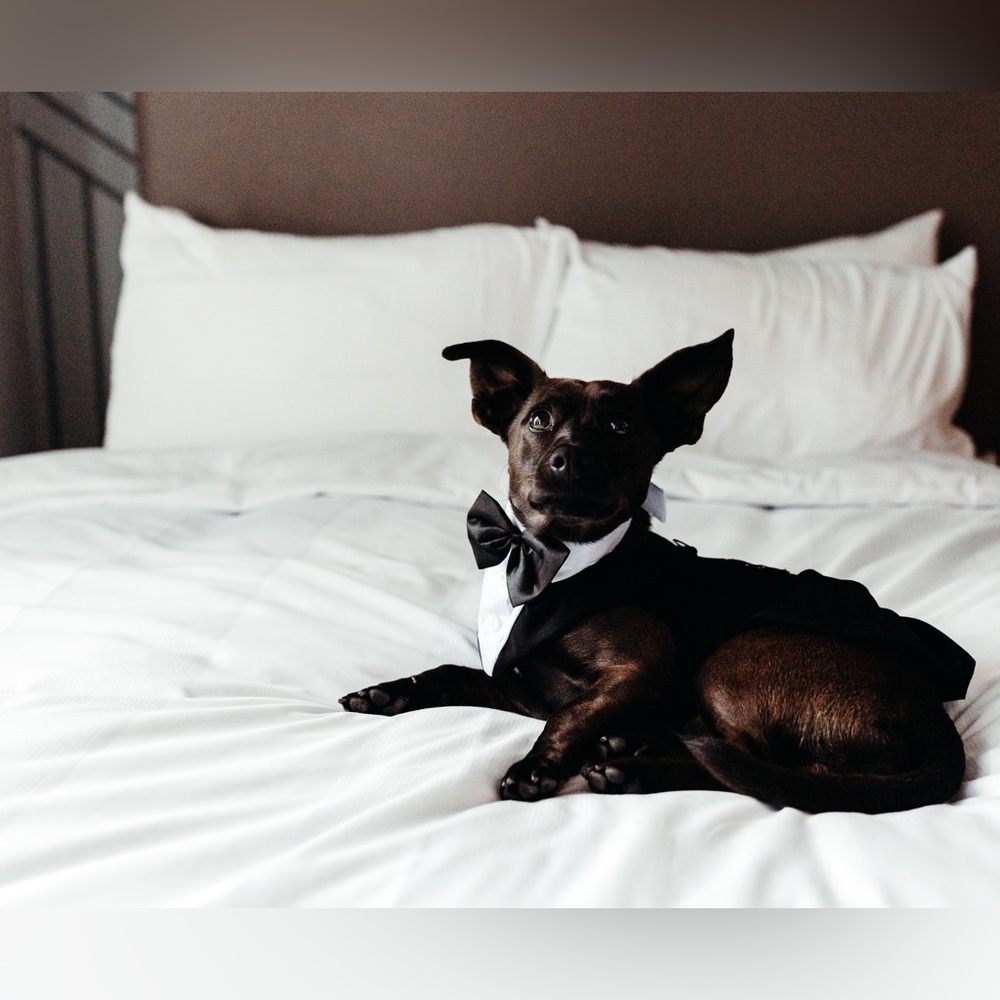 LIVE on WN… @nidhal - Picture 10 of 16